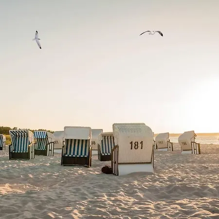 White Pearl 3.05 Timmendorfer Strand