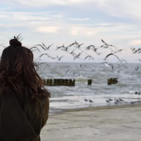 White Pearl 3.05 Apartment