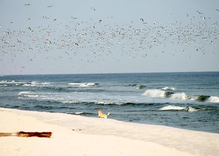 Apartment White Pearl 3.05 Timmendorfer Strand