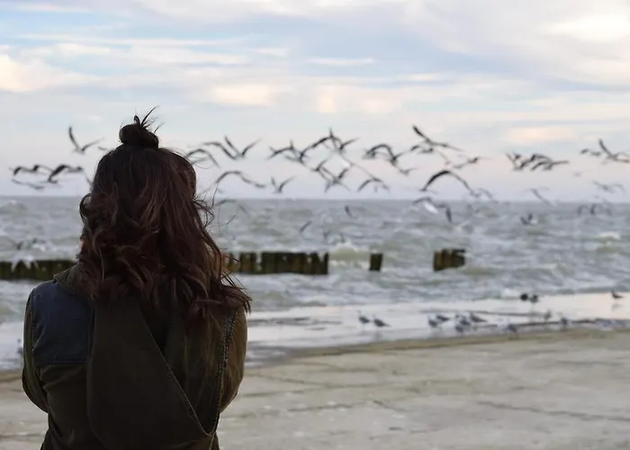 White Pearl 3.05 Apartment